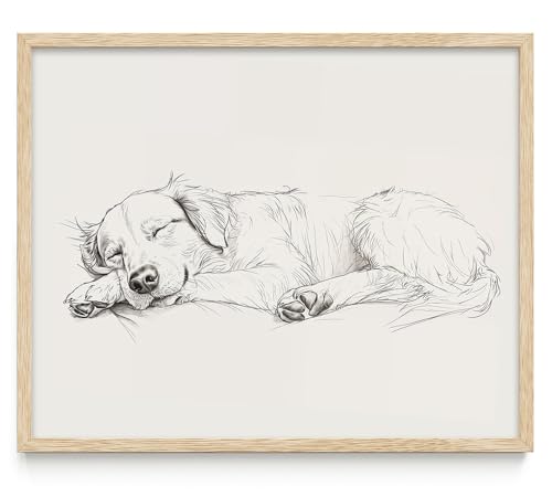 Happy Dreams - Golden Retriever Sketch 16x20 Framed Print, Minimalist