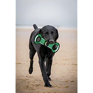 NFL Football Field DOG TOY with Squeaker. - LOS ANGELES CHARGERS - For Tug, Toss, and Fetch. - Tough & Durable PET TOY NFL Football Field DOG TOY with Squeaker. – LOS ANGELES CHARGERS – For Tug, Toss, and Fetch. – Tough & Durable PET TOY