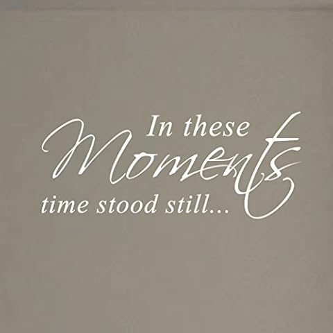 Innovative Stencils in These Moments Time Stood Still Home Wall Decal Sticker Family Quote Art #1292 (28" Wide X 11.5" High) (Matte White) Cover
