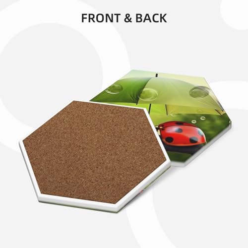 Dessous de verre coccinelle support céramique absorbant liège table