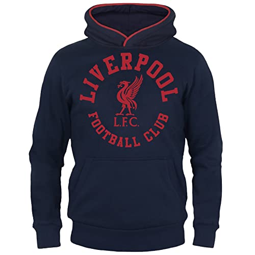 Liverpool Football Club Official Soccer Gift Boys Graphic Fleece Hoody