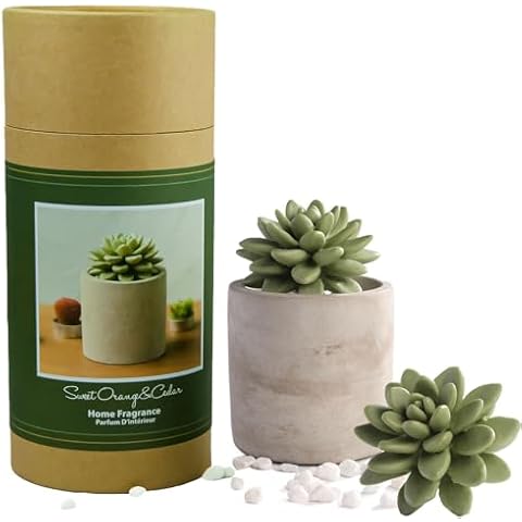 Pretty Valley Home Succulent Gypsum Ceramic Fragrance Diffuser Vase Set Sweet Orange Cedar 100ml Cover