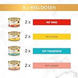 Gourmet Gold Raffiniertes Ragout Katzenfutter nass, Sorten-Mix, 96er Pack (96 x 85g)
