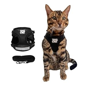 Travel Cat Harness and Leash Set – Adjustable Fit Mesh Cat Harness and Reflective Strap – Comfort Escape Proof Harness for Cats, Kitten for Outdoor Walking, Hiking (Small, Black)