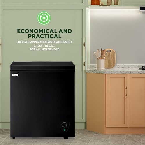 Walk-in freezer cold storage large