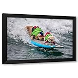 ArtDirect Big Chicken, Little Daredevil Custom Framed Art Print Giclee Print or Canvas Options with Various Sizes and Customization by Yang, David H.