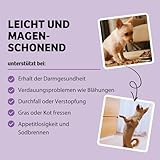 BugBell 800g BellyVital - Premium Trockenfutter mit Insekten - Fettreduziertes Trockenfutter für Hunde - Verdauung & Darmflora mit Präbiotika - Hundefutter trocken mit Löwenzahn