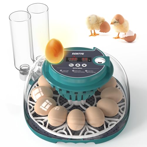 Automatic Egg Incubator for Hatching Eggs with LED Temperature Display, Humidity Control & Egg Turner, Clear Lid Incubator for Chicken, Quail & Bird Eggs (12 Egg Capacity)