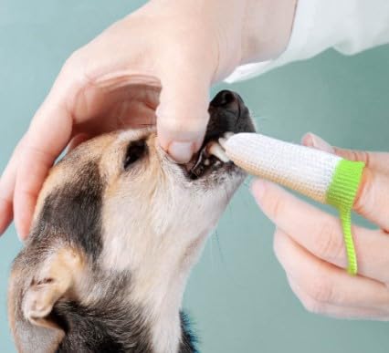 Anibio Fluffy (2 Stück) Fingerzahnbürste | Fingerling | Entfernt sanft und gründlich Zahnbelag | Silber-lonen Technologie | Zahnreinigung | Hunde Zähne |