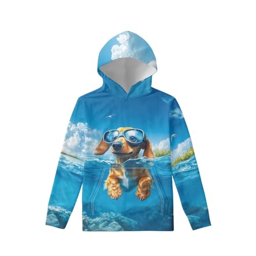 Xnshcedy Youth Hoodies Size 8-10 Boys Sweatshirts Cool 3D Dog Hoodie with Pocket Blue Sweatshirt Fashion Clothing for Kids Trendy 3D Dog Shirt School Party Holiday