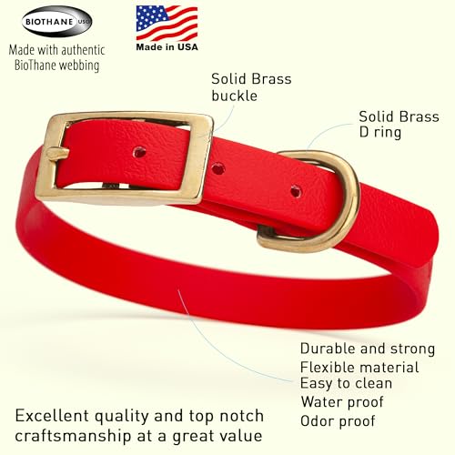 Image of Viper Biothane Heavy Duty Waterproof Dog Collar Strong Coated Nylon Webbing w /Solid Brass Hardware Odor-Proof Easy to Clean High Performance Fits Small Medium or Large Dogs, Cherry Red