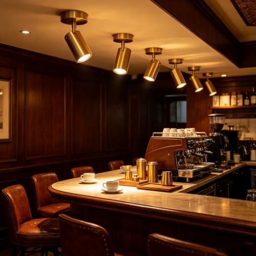 Accesorios de iluminación de riel modernos foco latón techo interior 5
