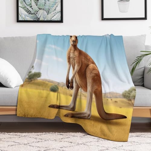 Couverture plaid flanelle polaire douce chaude lavable machine - 3