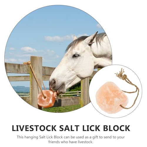 GARVALON Bloco de sal para lamber animal Himalaia sal rosa pendurado gado comida salgada Himalaia sa