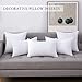 MIULEE Set of 2 Throw Pillow Inserts Premium Pillow Stuffer Square Form for Decorative Cushion Bed Couch Sofa 14x22 Inch