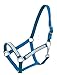 Showman Full Size 800-1100 lb Horse Heavy Duty Nylon Adjustable Crystal Bling Halter (Teal)