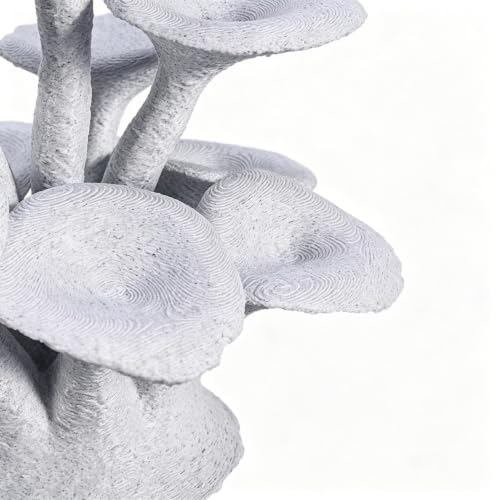 Plataforma para reptiles acuario hongo y accesorios terrario 8