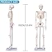 breesky Scientifc Human Skeleton Model for Anatomy, 33.4’’ Skeleton Model with Metal Stand, Removable Arms&Legs for Student to Study Human Skeleton Anatomy System, Halloween Decor, Manual Included
