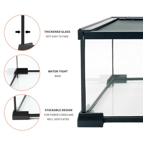 Reptile Growth RG-G05 US Reptile Terrarium, 12 Inch X 8"X 6 Inch Reptile Tank With Top Sliding Door Screen Ventilation,For Tarantula,Hermit Crab,Jumping Spider,Iguana,Tortoise,Leopard Gecko,Frog,Bearded Dragon,Snake thumb #1