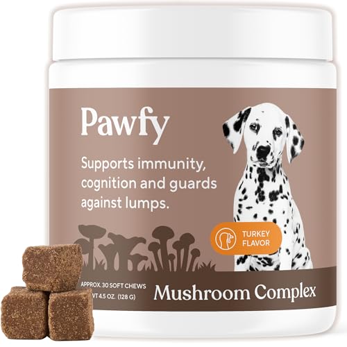 Pawfy Turkey Tail Mushroom Chews for Dogs with Lions Mane Reishi & Adaptogen Blend | Mushroom Complex Dog Supplement | Supports Immune Brain Lumps and Bumps & Daily Wellness | 30 Soft Chews