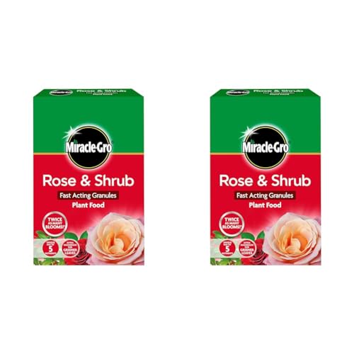 Miracle-Gro Rose and Shrub Fast Acting Granules Plant Food, 3 kg (Pack of 2)