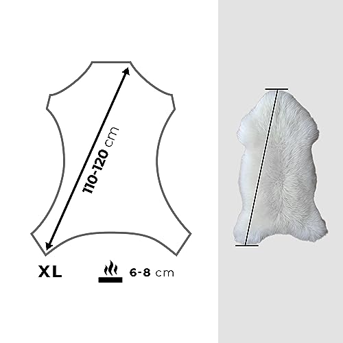 HOME Lammfell Weich Schaffell Echt - Natürliche Lammfell Teppich für Wohnzimmer und Schlafzimmer - Flauschig - Deko Fell