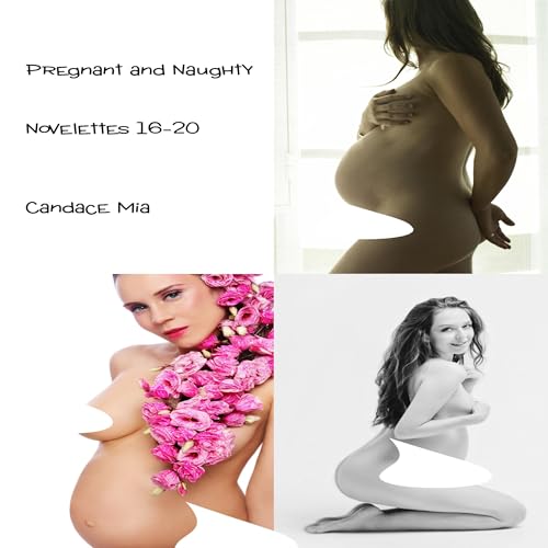 『Pregnant and Naughty: Novelettes 16-20』のカバーアート