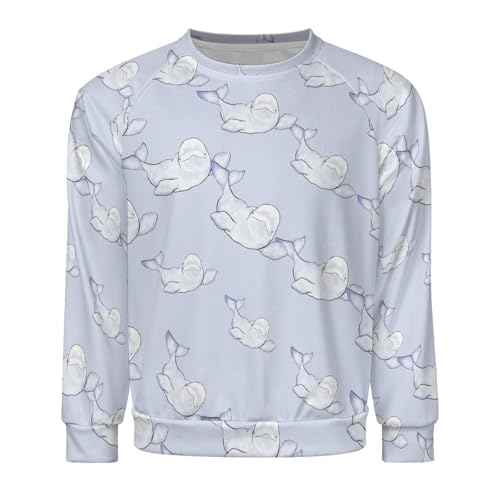Beluga Wave Men's Crewneck Sweatshirt Pullover Long Sleeve Casual Tops4