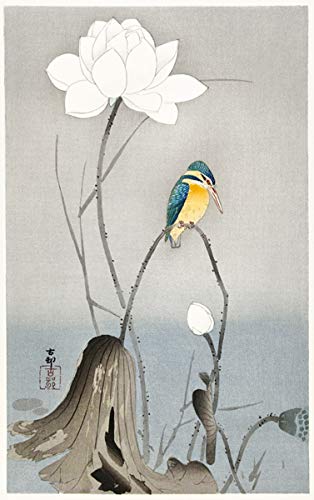 翡翠　難あり　古美術 Amazon.co.jp: 小原古邨 版画 「蓮に翡翠」 53.8×33.8cm 複製