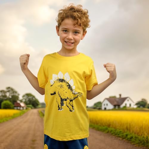 Image of DEEKEY Toddler Boys Shirts Short-Sleeve Little Kids t Shirts Boys' Tops, Tees & Shirts Graphic TEE Age for 2-7 Years 4-Pack