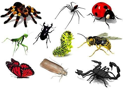 Ladybug Collection (Insects 3D Temporary Tattoos)