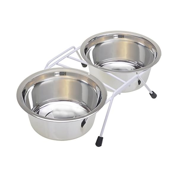 Van Ness Pets Raised Double Dish Dog Feeder with Wire Rack And (2) 16 OZ Food And Water Bowls