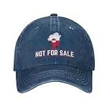 ACEPrints Casquette de Baseball « Le Groenland est à Vendre » (Style Camionneur)