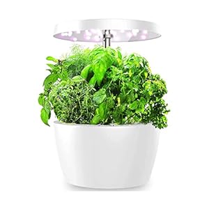 Hydroponics Growing System, Indoor Herb Garden with Led Grow Light, Height Adjustable, Smart Garden for Home Kitchen…