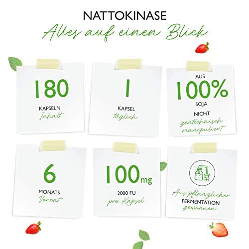 Nattokinase Vit4ever – 180 Kapseln mit 100 mg und 20.000 FU/g