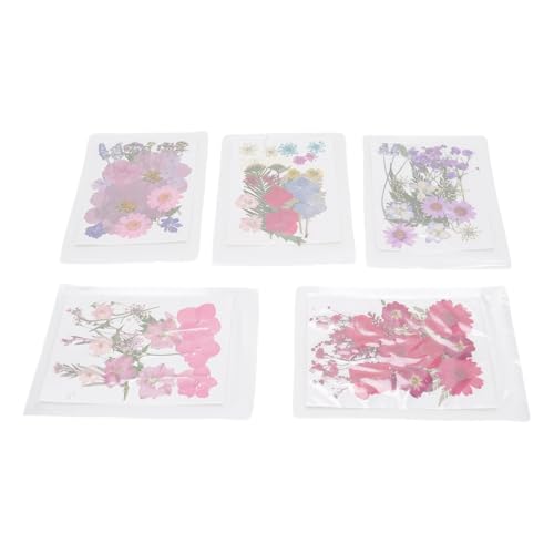 100 flores secas prensadas para manualidades tipo 3 miniatura 2