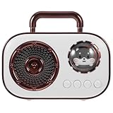 DIYEAH Büro-Lautsprecher: Mini-Lautsprecher im Vintage-, kabellos, für Küche, Schreibtisch, Schlafzimmer, Büro, Party, Outdoor, Reisen, Partys, Weiß