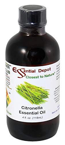 Aceite Esencial de Citronela en Botella de Vidrio Ámbar 4 oz miniatura 1