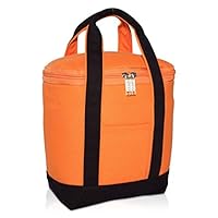 Algopix Similar Product 20 - DALIX Mini Can Cooler Bag Small