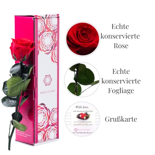 Rosen-Te-Amo | Infinity Rose rot am Stiel - Rosenduft |Echte Rosen Geburtstagsgeschenk für Frauen, Ewige Rose in Geschenkbox || Konservierte Blume zum Weihnachten, Valentinstag, Mama, Deko Geschenk