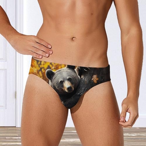 Bear Climbing on A Tree Printed Swim Briefs for Men Sexy Bikini Swimwear Elastic Beach Trunks Bathing Suit2