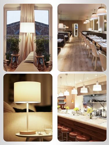 Image of 12 Pack LED Light Bulbs 100 Watt Equivalent, A19 15W Soft White 3000K, 1500 Lumens Super Bright E26 Standard No Flicker Energy Saving Lamp Bulb for Home, Bedroom, Office, 15000 Hrs, Non-Dimmable