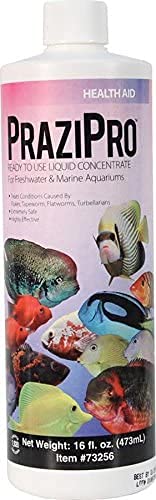 Amazon.co.jp: Pet Faves Hikari USA AHK73256 水槽用プラジプロ 16 