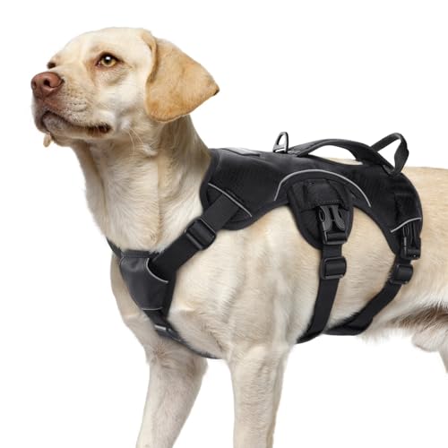 No Escape Dog Harness The 15 best products compared Wild Explained