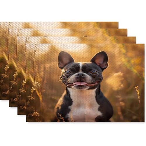 Salvamanteles Bulldog Salvamanteles Individuales Mesa Juego De 6 Manteles Individuales Lavables Antimanchas Antideslizante Resistente Al Calor Bajoplatos Lino 45X30Cm