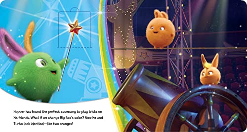 Sunny Bunnies: The Magic Wand: A Lift-The-Flap Book (Us Edition)