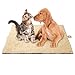 Toozey Selbstheizende Decke für Katzen & Hunde, Größe 90cm × 65cm Wärmematte für Haustierer