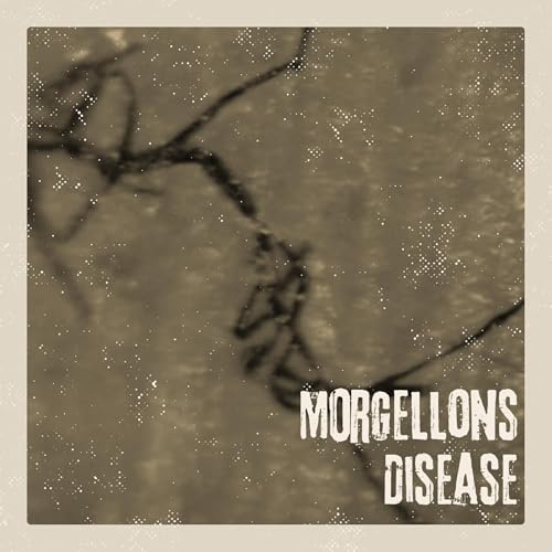 『Morgellons Disease – Medical Mystery, Contested Illness, and the Human Cost of Disbelief』のカバーアート
