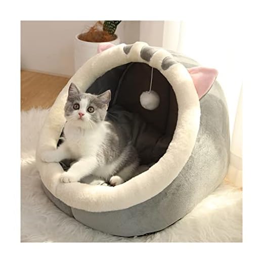 Hundbäddar varm mysig kattbädd husdjurskorg kattunge solstol kudde katthus mjuk bekväm hundmatta säng husdjurssäng (färg: Brittiskt korthår, storlek: L (48 x 45 x 37 cm)