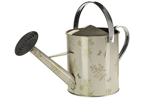 Premier Housewares 2450022 5 Liter Gießkanne – Natur/Grün